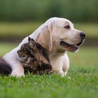 Aplicações e soluções